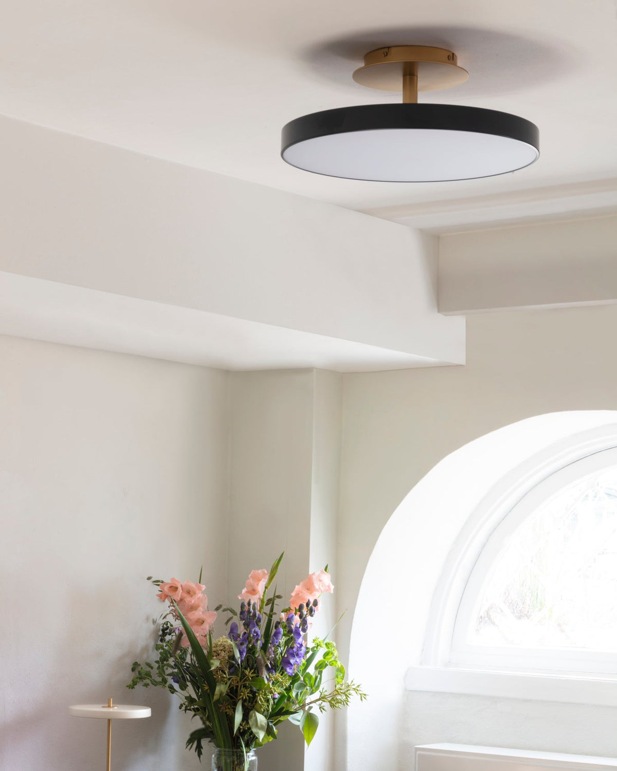 Asteria Up | taklampe